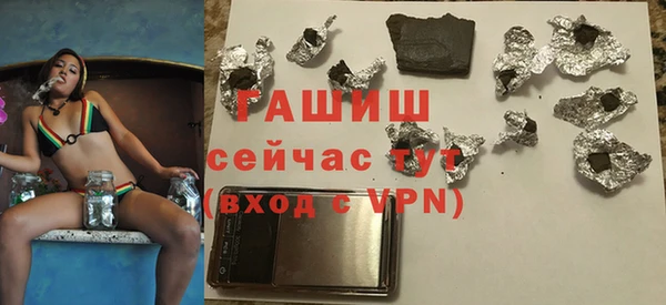 хмурый Алексин