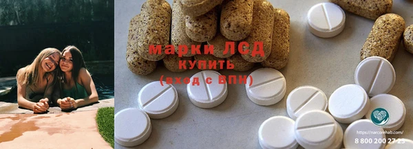 хмурый Алексин